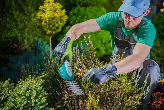 landscaping services South Shore